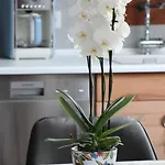 Loft 1 Varel