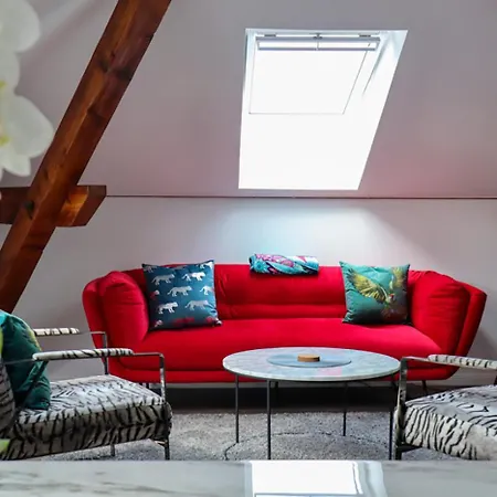 Loft 1 דירה